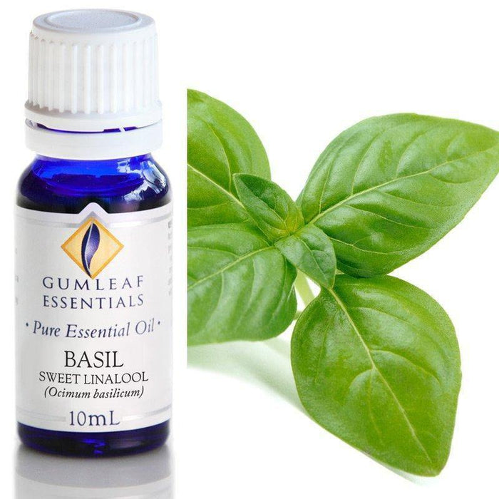 BASIL SWEET LINALOOL ESSENTIAL OIL Buckley & Phillips Essential Oils