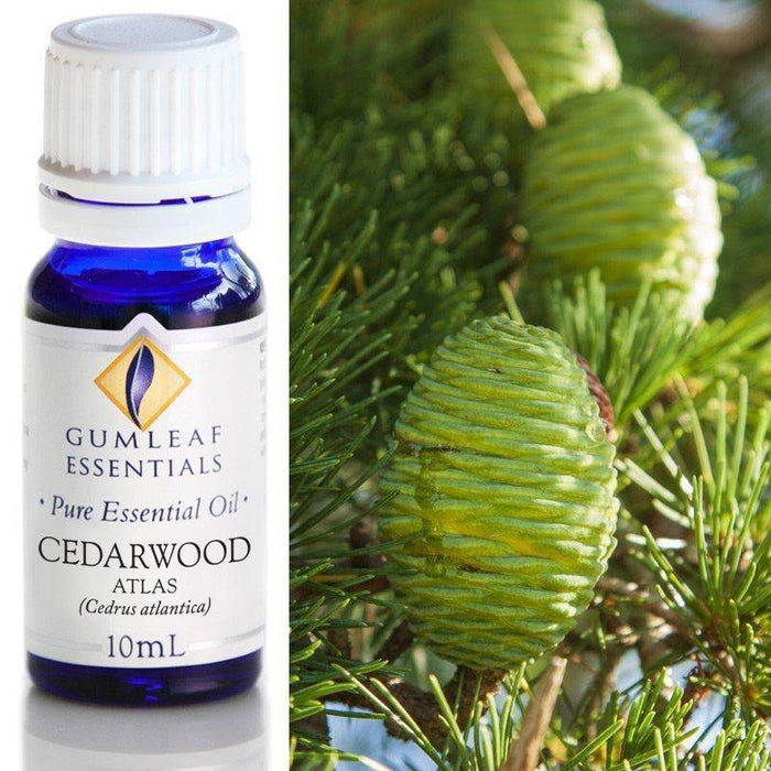 CEDARWOOD ATLAS ESSENTIAL OIL Buckley & Phillips Essential Oils