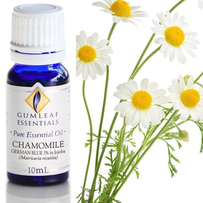 CHAMOMILE GERMAN BLUE 3% IN JOJOBA ESSENTIAL OIL Buckley & Phillips Essential Oils