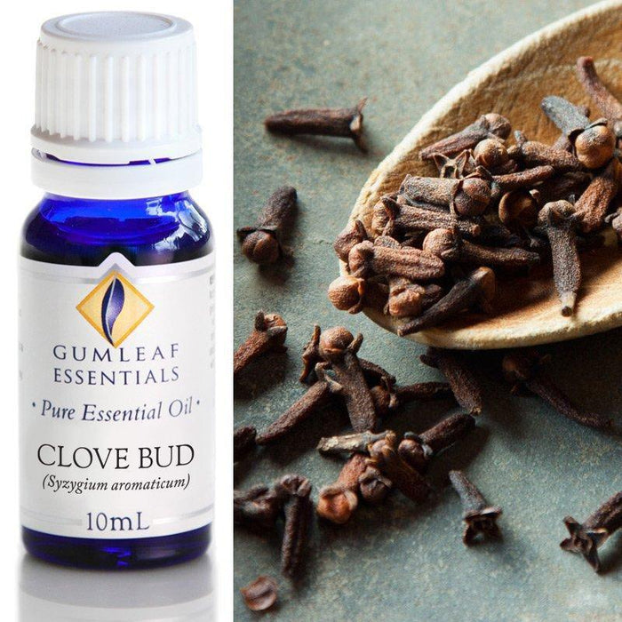 CLOVE BUD ESSENTIAL OIL Buckley & Phillips Essential Oils