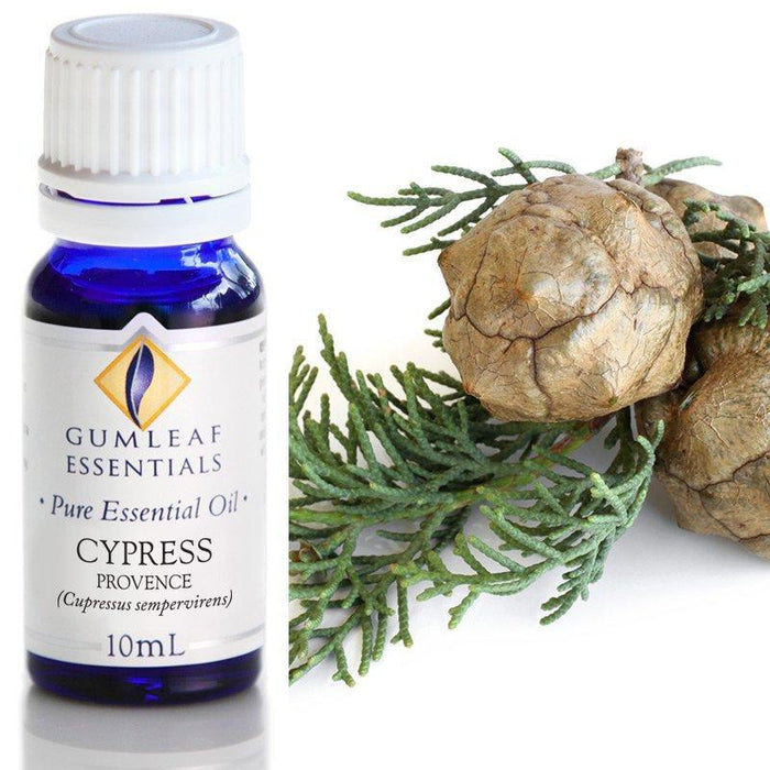 CYPRESS PROVENCE ESSENTIAL OIL Buckley & Phillips Essential Oils