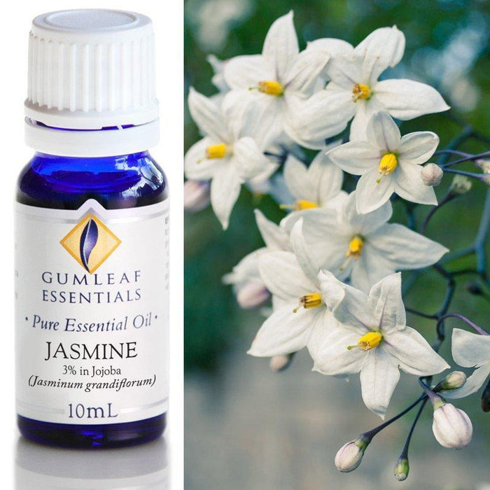 JASMINE 3% IN JOJOBA ESSENTIAL OIL Buckley & Phillips Essential Oils