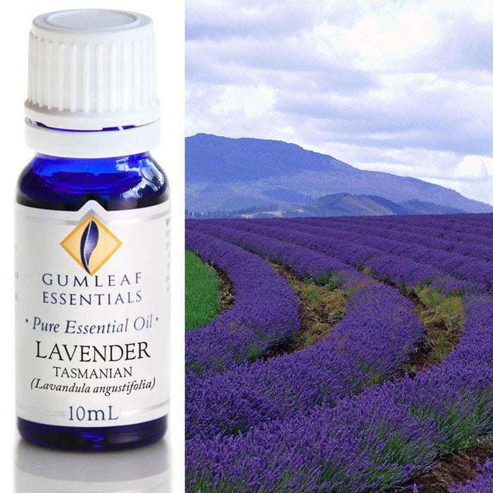 LAVENDER TASMANIAN ESSENTIAL OIL Buckley & Phillips Essential Oils