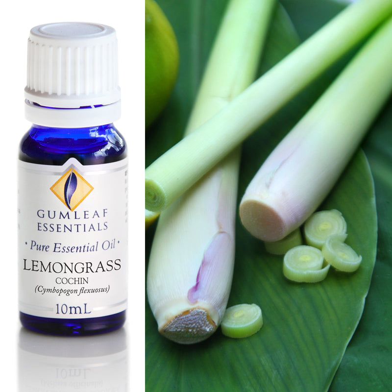 Lemongrass Cochin Essential Oil