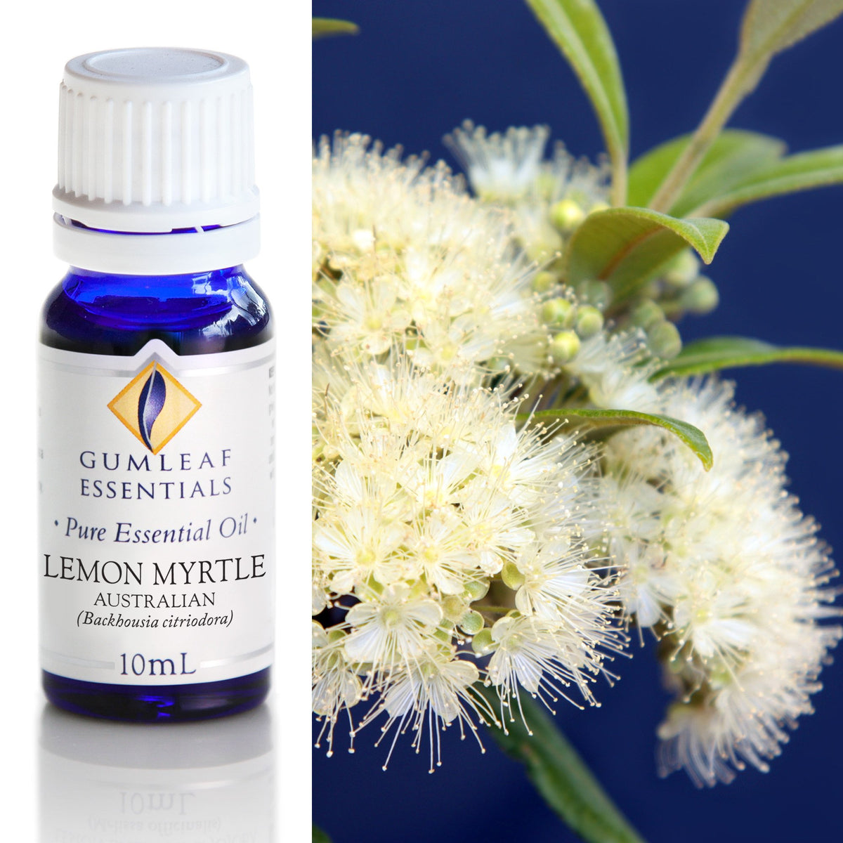 Lemon Myrtle Australian Essential Oil