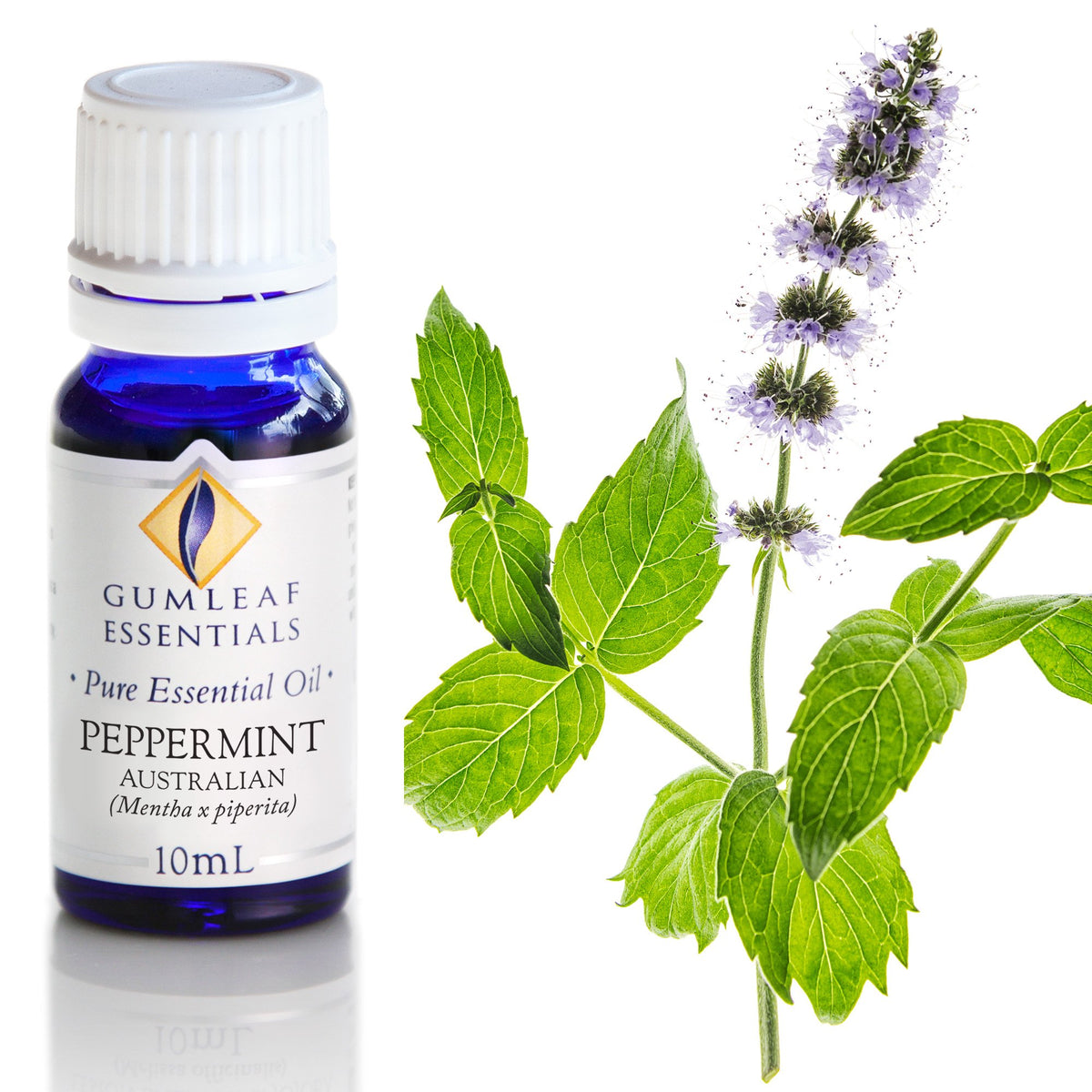 Peppermint Australian Essential Oil