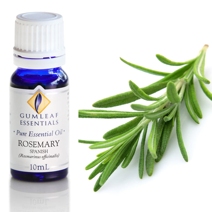 Rosemary Spanish Essential Oil