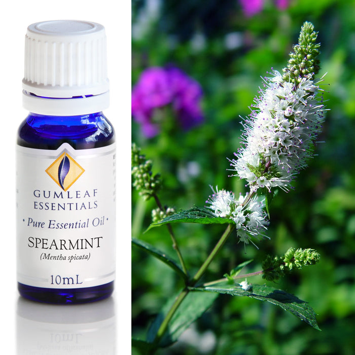 Spearmint Essential Oil