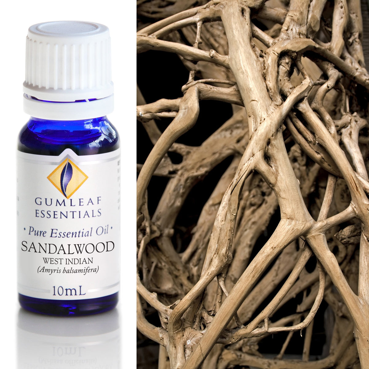 Sandalwood West Indian Essential Oil