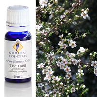 Tea Tree Australian Essential Oil