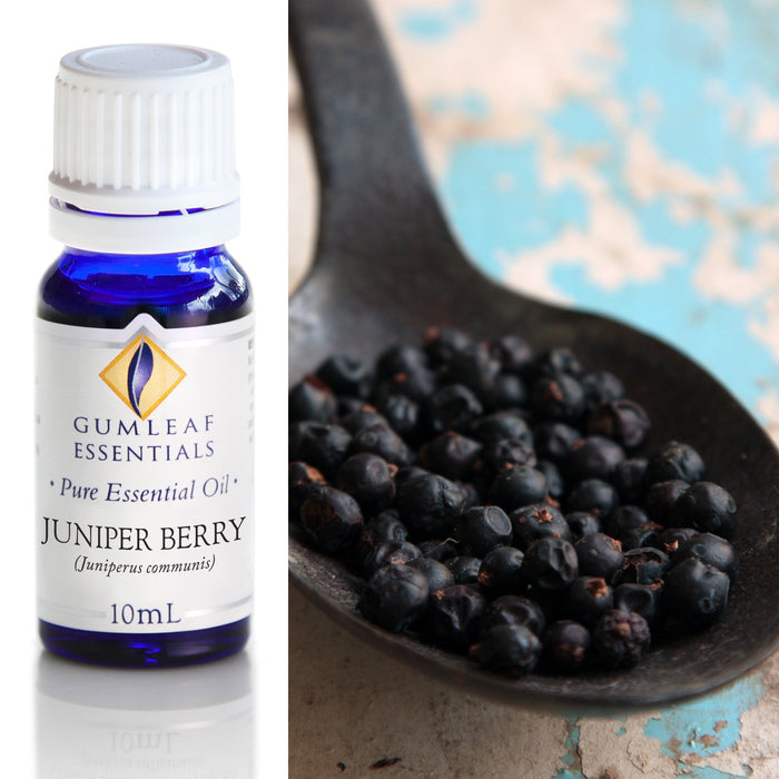 Juniper Berry Essential Oil