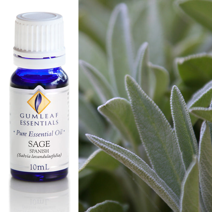 Sage Spanish Essential Oil