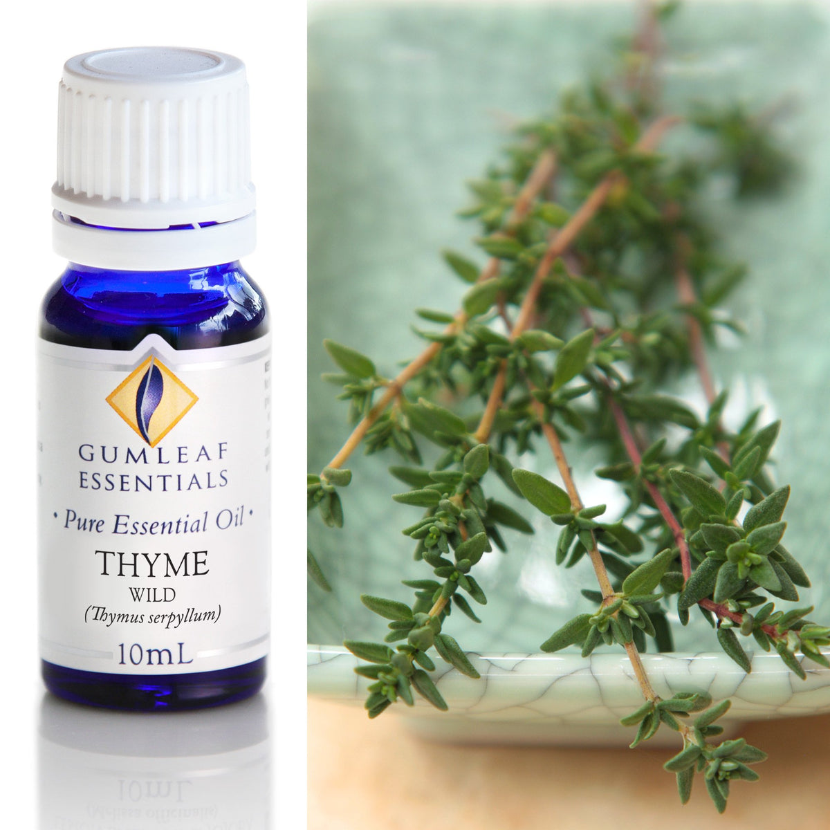 Thyme Wild Essential Oil