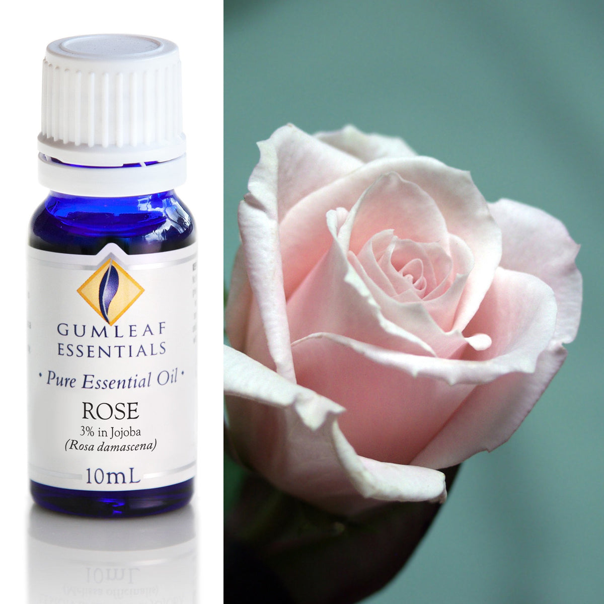 Rose (3% In Jojoba) Essential Oil