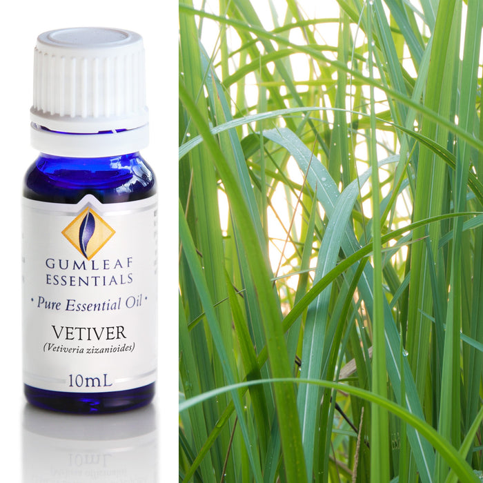 Vetiver Essential Oil