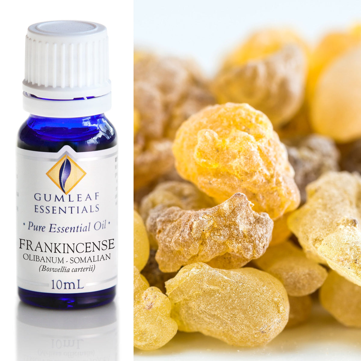 Frankincense Olibanum Essential Oil