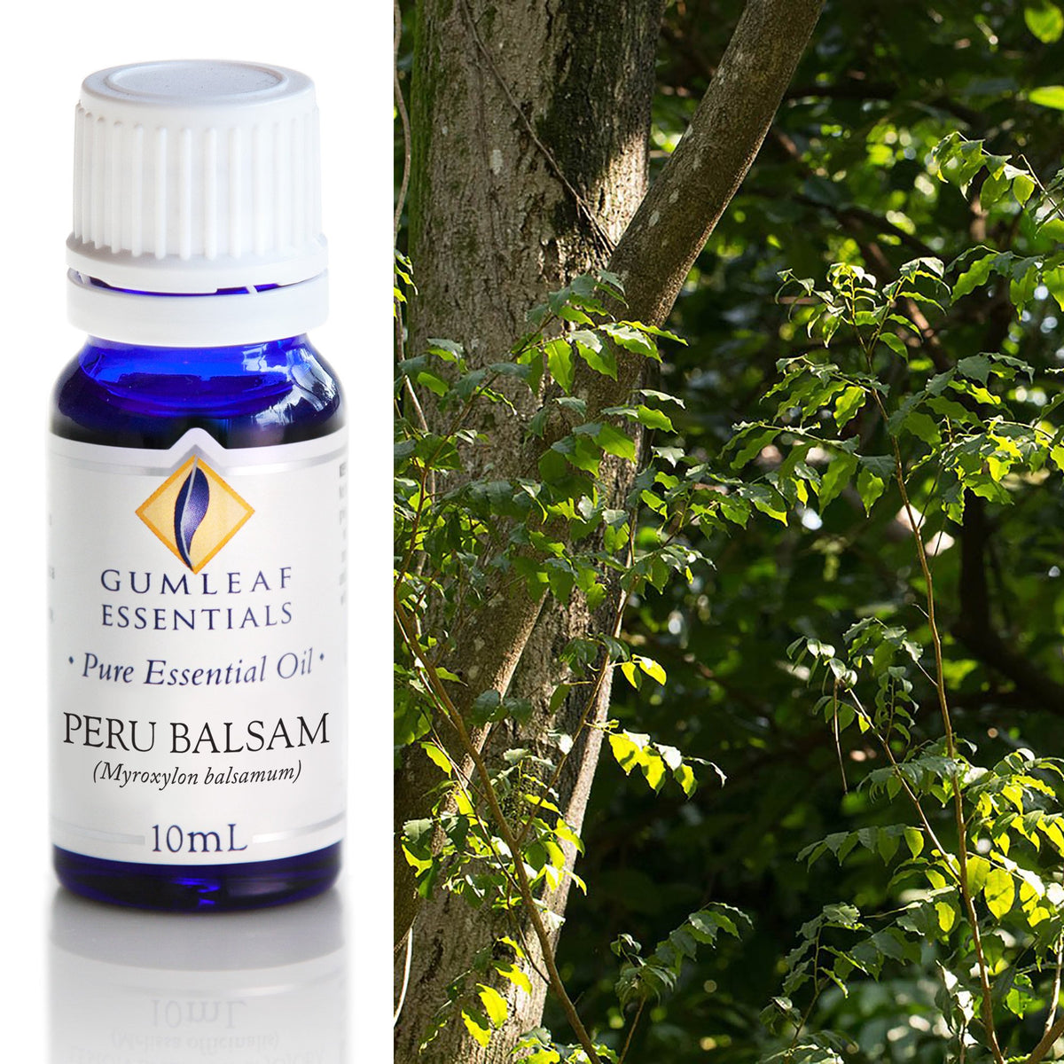 Peru Balsam Essential Oil