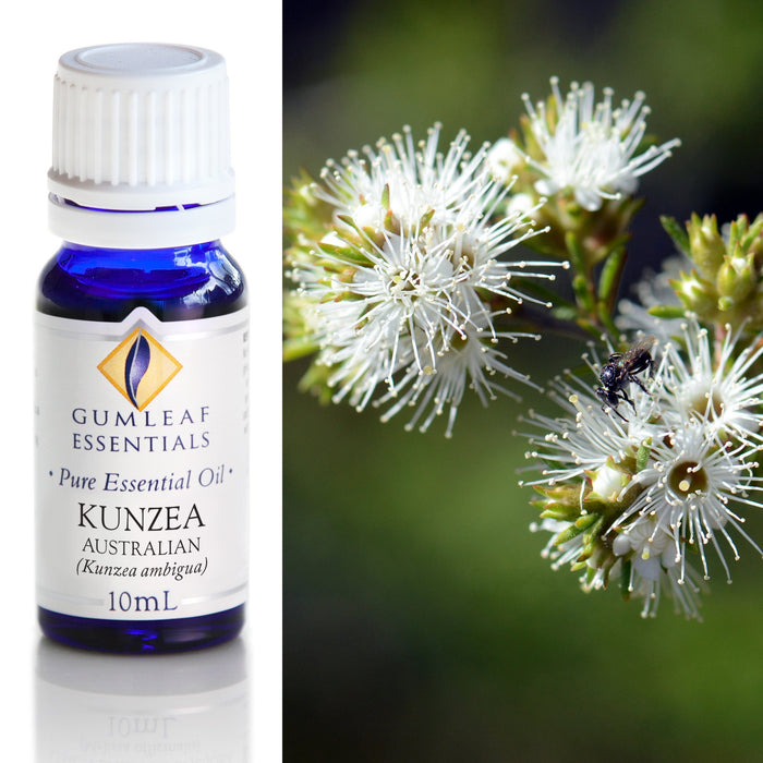 Kunzea Australian Essential Oil