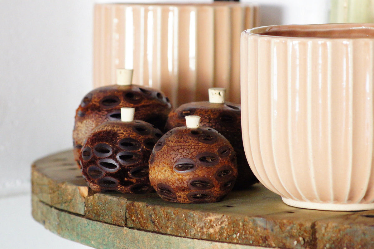 Banksia Aroma Pod Diffuser Banksia Gifts Banksia, Banksia Diffuser, Banksia Gifts, Diffuser