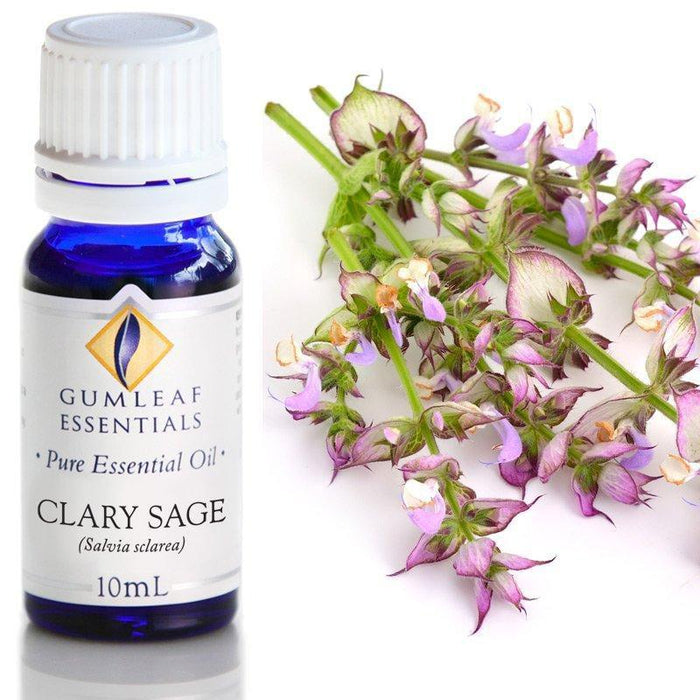 CLARY SAGE ESSENTIAL OIL Buckley & Phillips Essential Oils