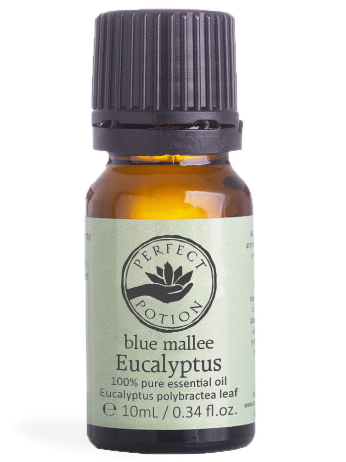 Perfect Potion - Eucalyptus Blue Mallee Perfect Potion Essential Oils, Eucalyptus, Eucalyptus Blue Mallee, Perfect Potion