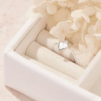 Silver ring with a seashell design in a jewelry box with flowers