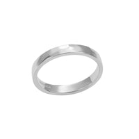 Silver ring on a white background