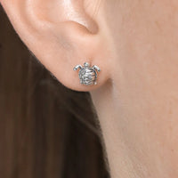 Silver turtle earring worn on a person's ear with a neutral background
