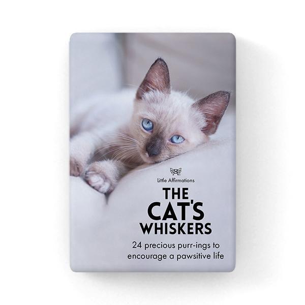 The Cat's Whiskers Affirmations Affirmations, Animal, Little Affirmations