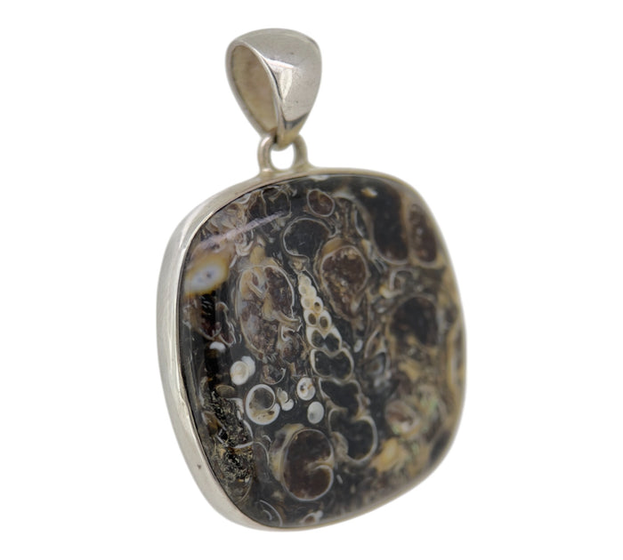 Turritella Pendant