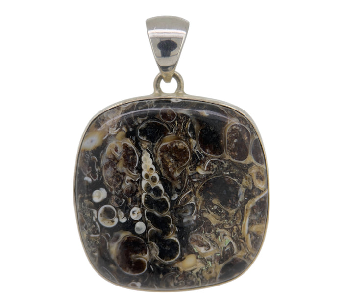 Turritella Pendant