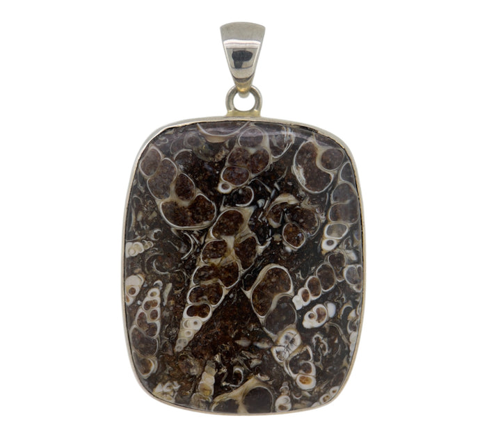 Turritella Pendant
