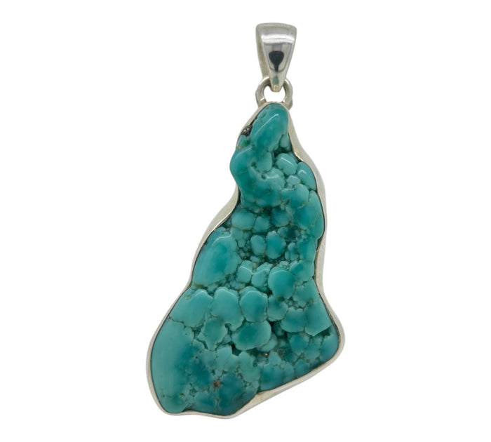 Usa Turquoise Pendant