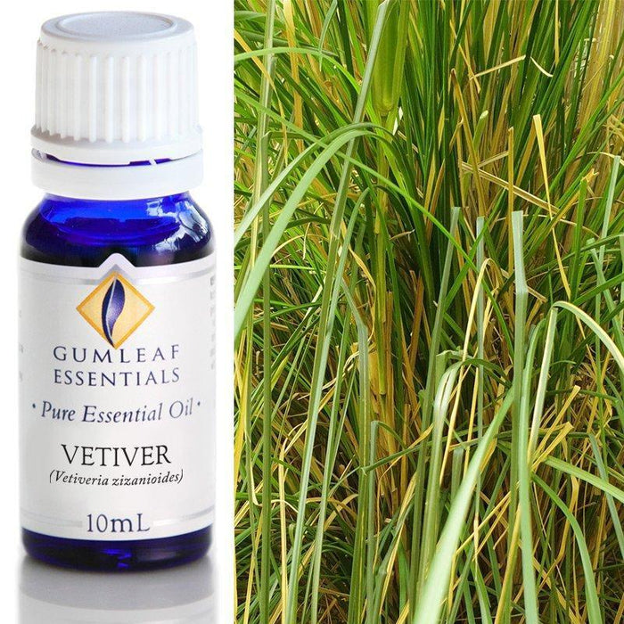 VETIVER ESSENTIAL OIL Buckley & Phillips Essential Oils