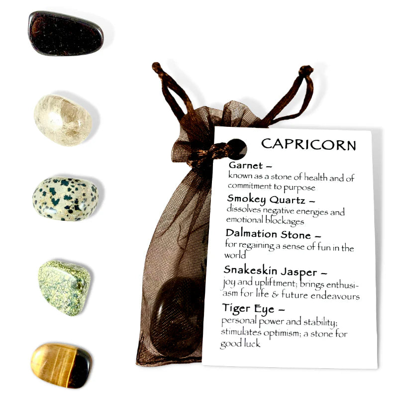 Zodiac Crystal Kit - Capricorn