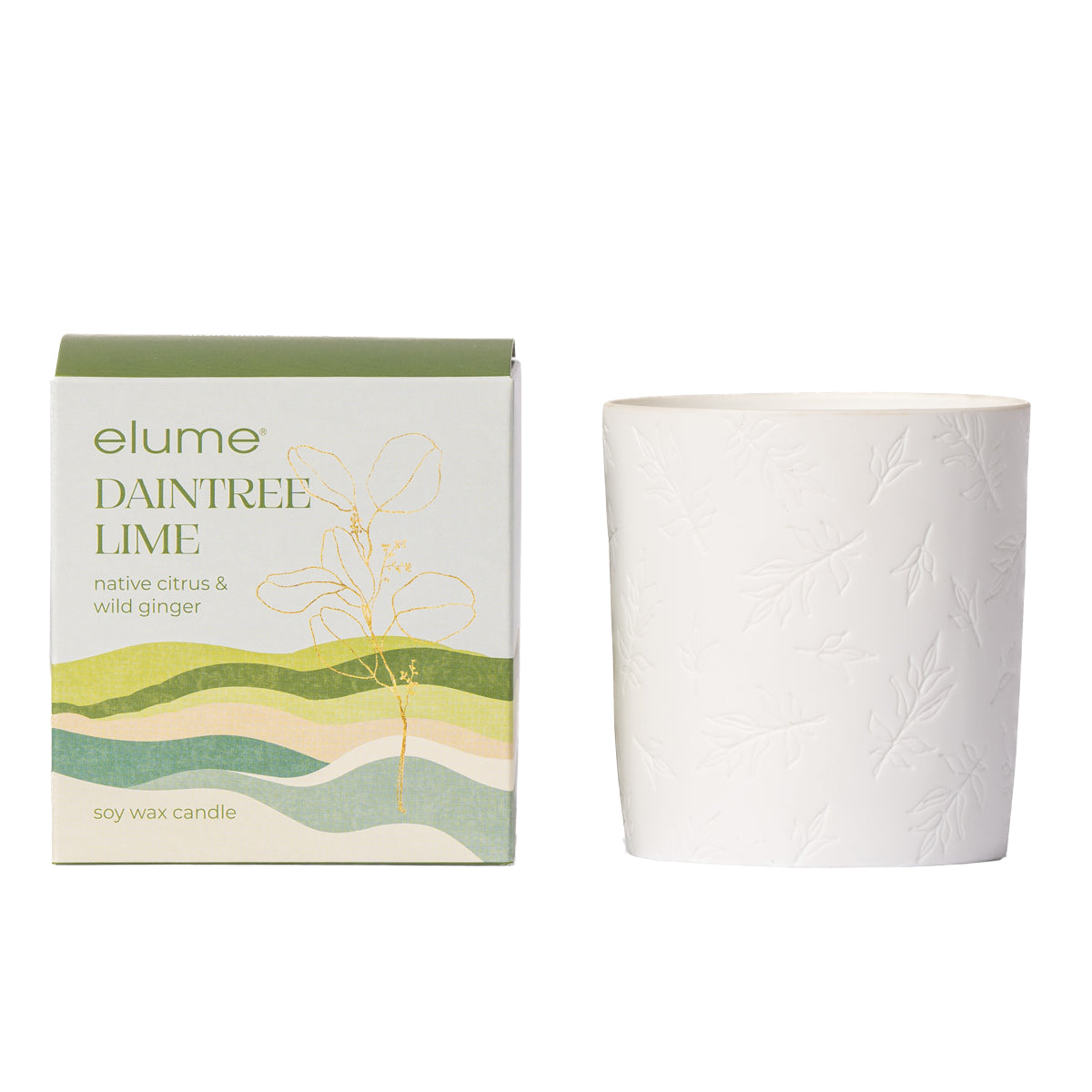 Daintree Lime Soy Candle