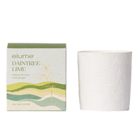 Daintree Lime Soy Candle