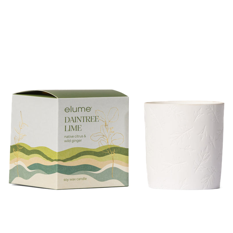 Daintree Lime Soy Candle